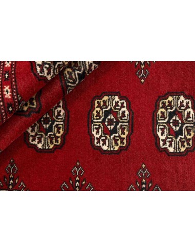 Hand made rug Bukhara fine Pakistan cm.169x260