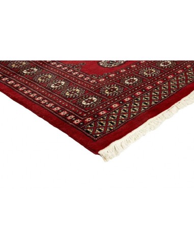 Hand made rug Bukhara fine Pakistan cm.169x260