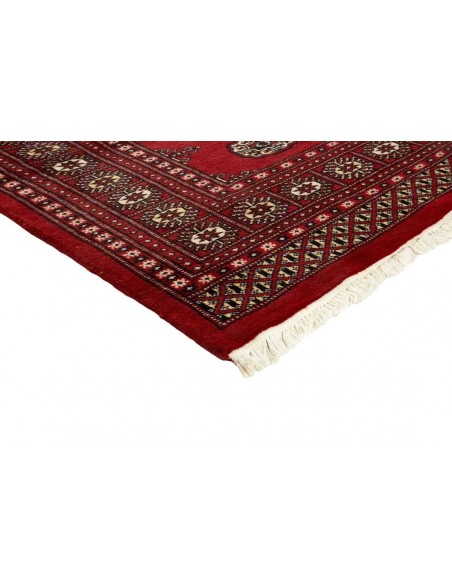 Hand made rug Bukhara fine Pakistan cm.169x260