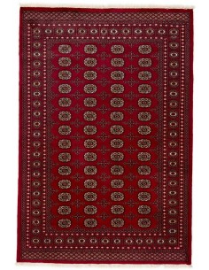 Hand made rug Bukhara fine Pakistan cm.170x251