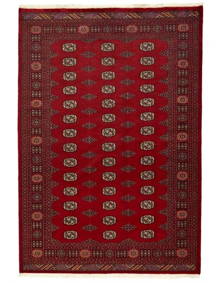 Hand made rug Bukhara fine Pakistan cm.171x249