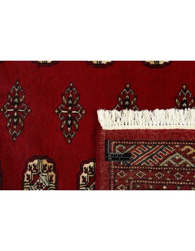 Hand made rug Bukhara fine Pakistan cm.171x249