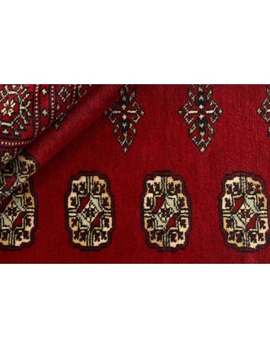 Hand made rug Bukhara fine Pakistan cm.171x249