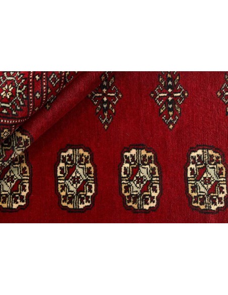Hand made rug Bukhara fine Pakistan cm.171x249