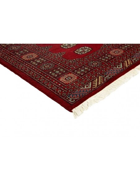 Hand made rug Bukhara fine Pakistan cm.171x249