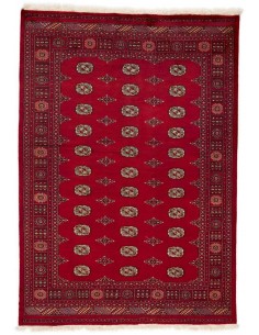 Hand made rug Bukhara fine Pakistan cm.173x246