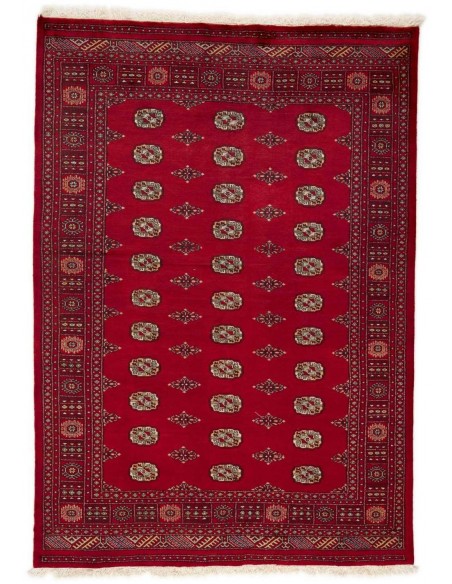 Hand made rug Bukhara fine Pakistan cm.173x246