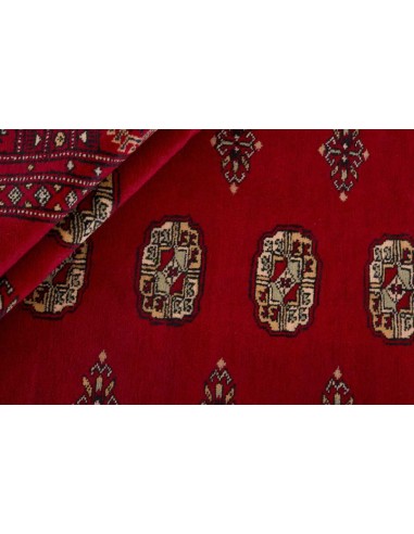Hand made rug Bukhara fine Pakistan cm.173x246