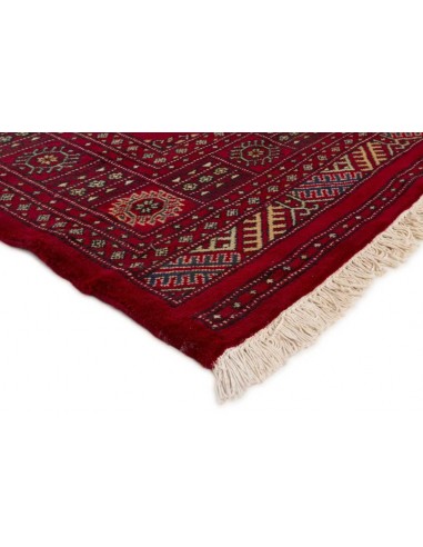 Hand made rug Bukhara fine Pakistan cm.173x246