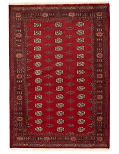 Hand made rug Bukhara fine Pakistan cm.172x246