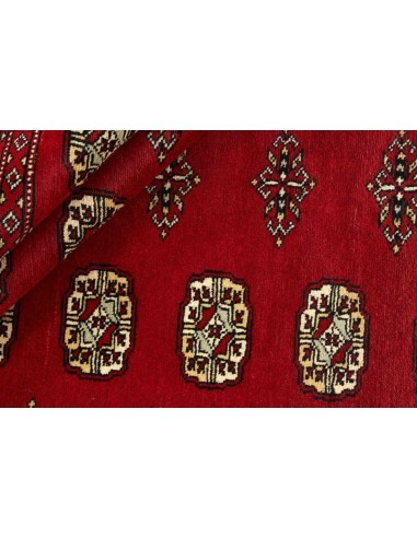Hand made rug Bukhara fine Pakistan cm.172x246