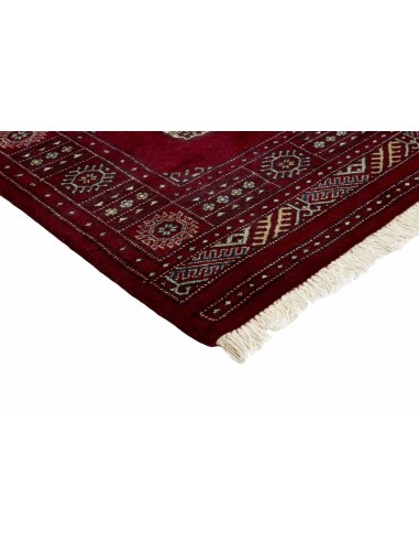 Hand made rug Bukhara fine Pakistan cm.75x186