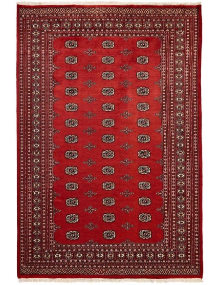 Hand made rug Bukhara fine Pakistan cm.204x305