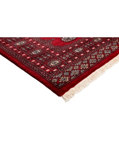 Hand made rug Bukhara fine Pakistan cm.196x304