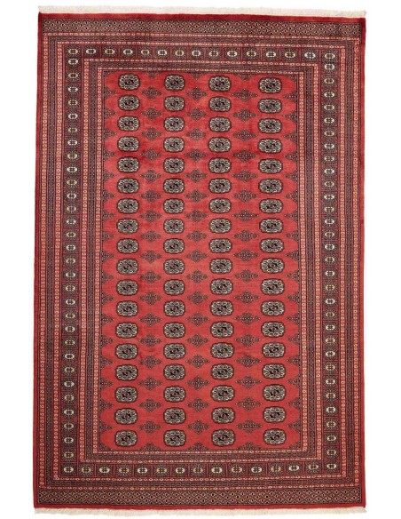 Hand made rug Bukhara fine Pakistan cm.201x303