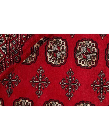 Hand made rug Bukhara fine Pakistan cm.205x315