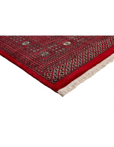Hand made rug Bukhara fine Pakistan cm.205x315