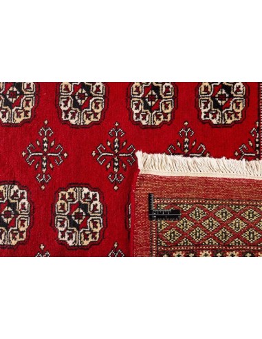 Hand made rug Bukhara fine Pakistan cm.195x314