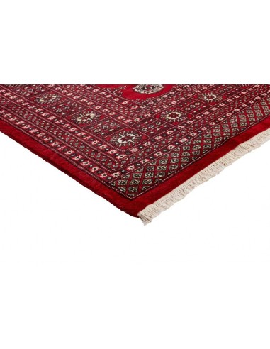 Hand made rug Bukhara fine Pakistan cm.195x314