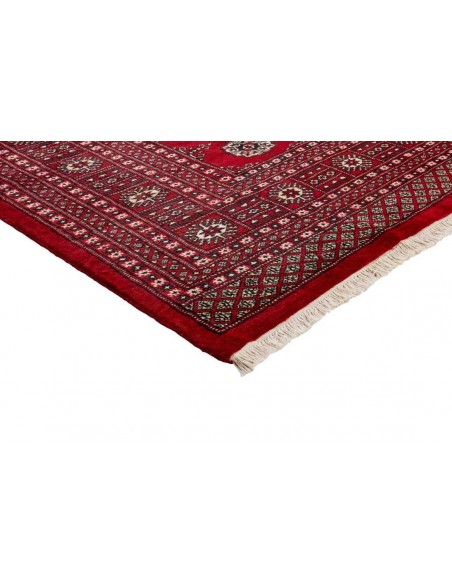 Hand made rug Bukhara fine Pakistan cm.195x314