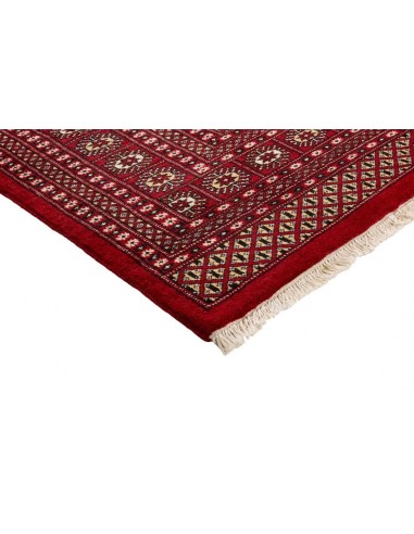 Hand made rug Bukhara fine Pakistan cm.199x301