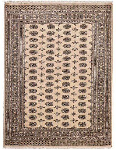 Hand made rug Bukhara fine Pakistan cm.217x288