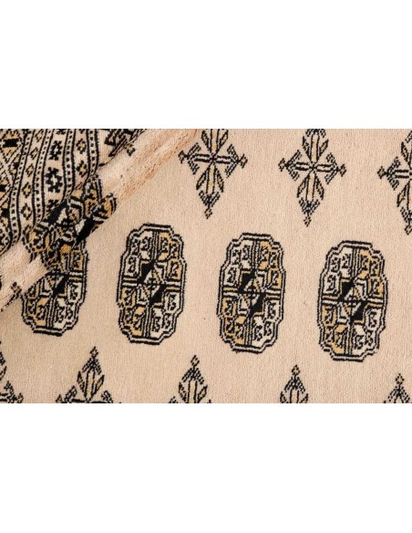 Hand made rug Bukhara fine Pakistan cm.217x288