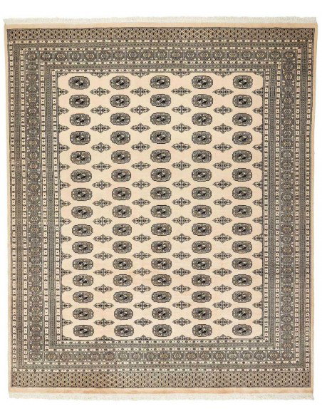 Hand made rug Bukhara fine Pakistan cm.247x300