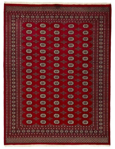 Hand made rug Bukhara fine Pakistan cm.250x328