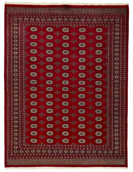 Hand made rug Bukhara fine Pakistan cm.250x328