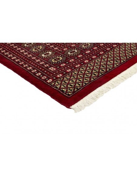 Hand made rug Bukhara fine Pakistan cm.250x328
