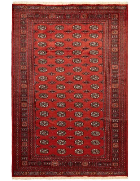 Hand made rug Bukhara fine Pakistan cm.202x304