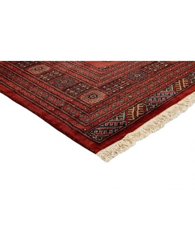 Hand made rug Bukhara fine Pakistan cm.202x304