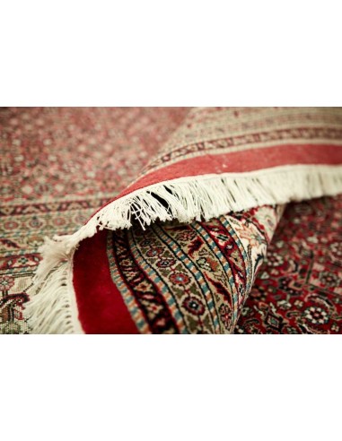 Hand made rug Bidjar Royal India cm.306x391