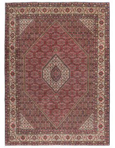 Hand made rug Bidjar Zandjan Persia cm.252x347
