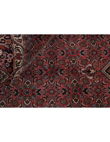 Hand made rug Bidjar Zandjan Persia cm.297x396