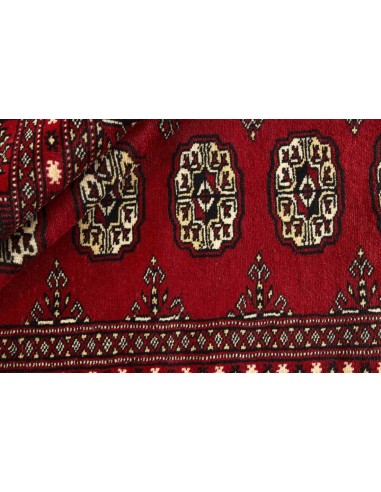 Hand made rug Bukhara fine Pakistan cm.169x244
