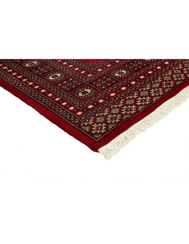 Hand made rug Bukhara fine Pakistan cm.169x244