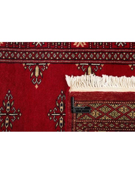 Hand made rug Bukhara fine Pakistan cm.75x303