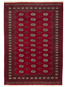 Hand made rug Bukhara fine Pakistan cm.168x240