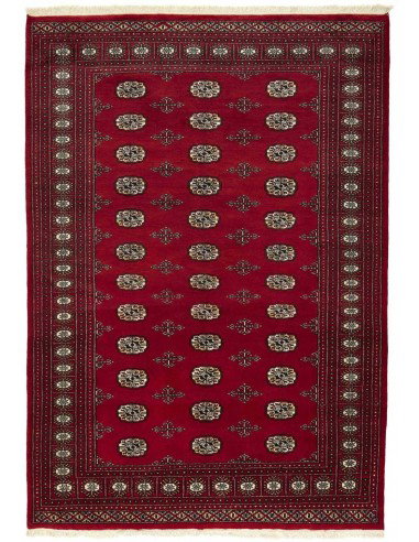 Hand made rug Bukhara fine Pakistan cm.168x240