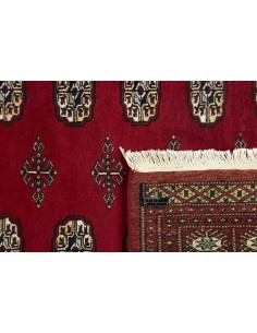 Hand made rug Bukhara fine Pakistan cm.168x240 2