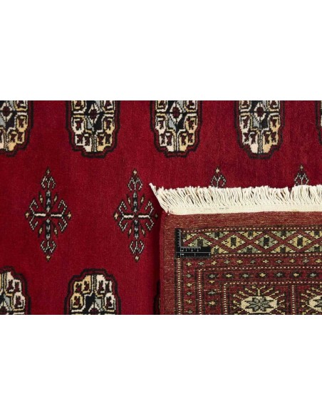 Hand made rug Bukhara fine Pakistan cm.168x240