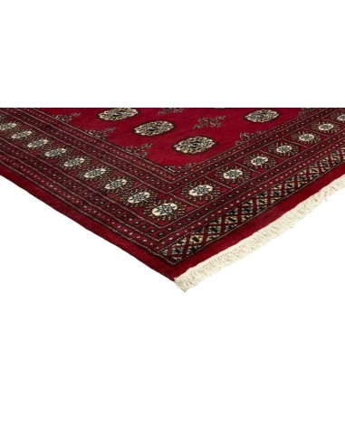 Hand made rug Bukhara fine Pakistan cm.168x240