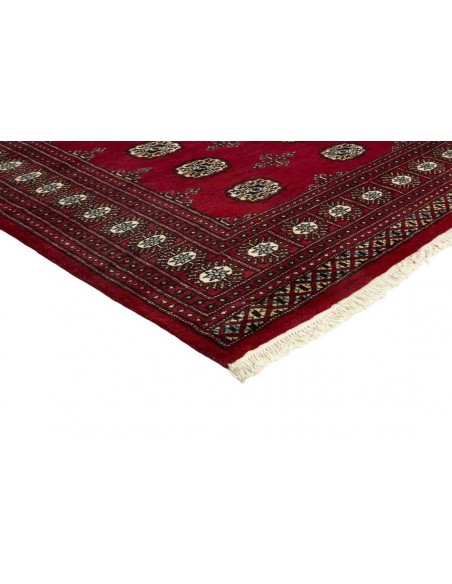 Hand made rug Bukhara fine Pakistan cm.168x240
