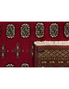 Hand made rug Bukhara fine Pakistan cm.166x248 2