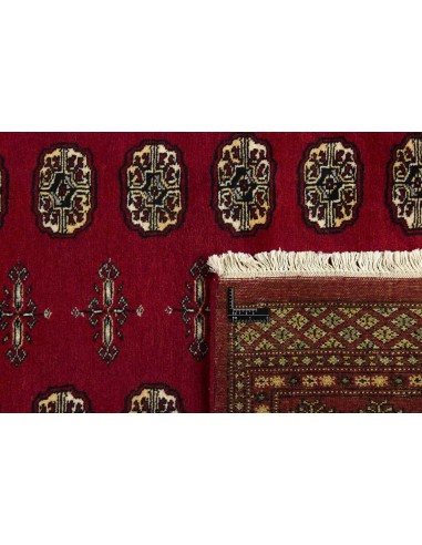 Hand made rug Bukhara fine Pakistan cm.166x248