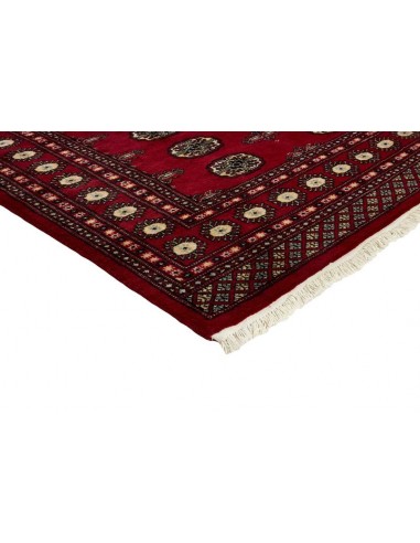 Hand made rug Bukhara fine Pakistan cm.166x248