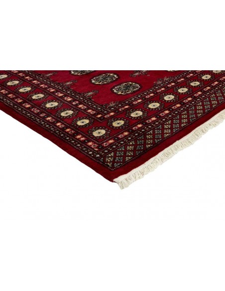 Hand made rug Bukhara fine Pakistan cm.166x248