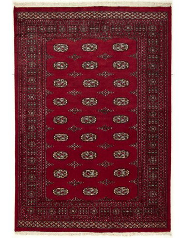 Hand made rug Bukhara fine Pakistan cm.170x247